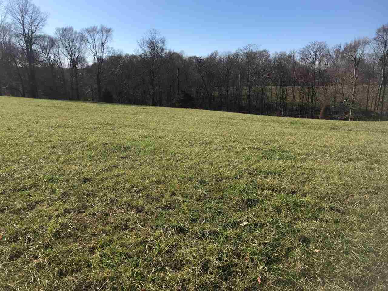 23-acres Cemetery Road Scottsville, KY 42164 - Photo 22 of 32 Gallery Image 22