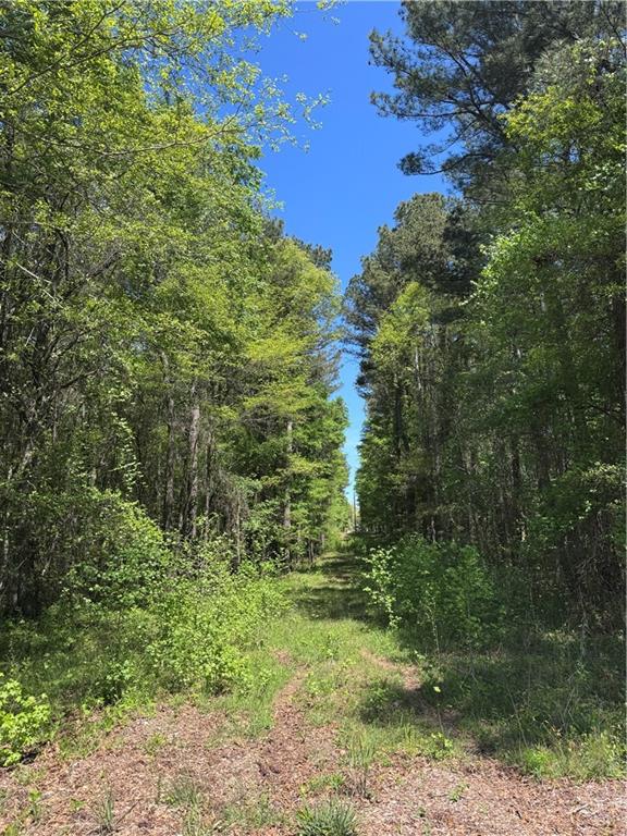 0 Roquemore Road Athens, GA 30607 - Photo 2 of 5