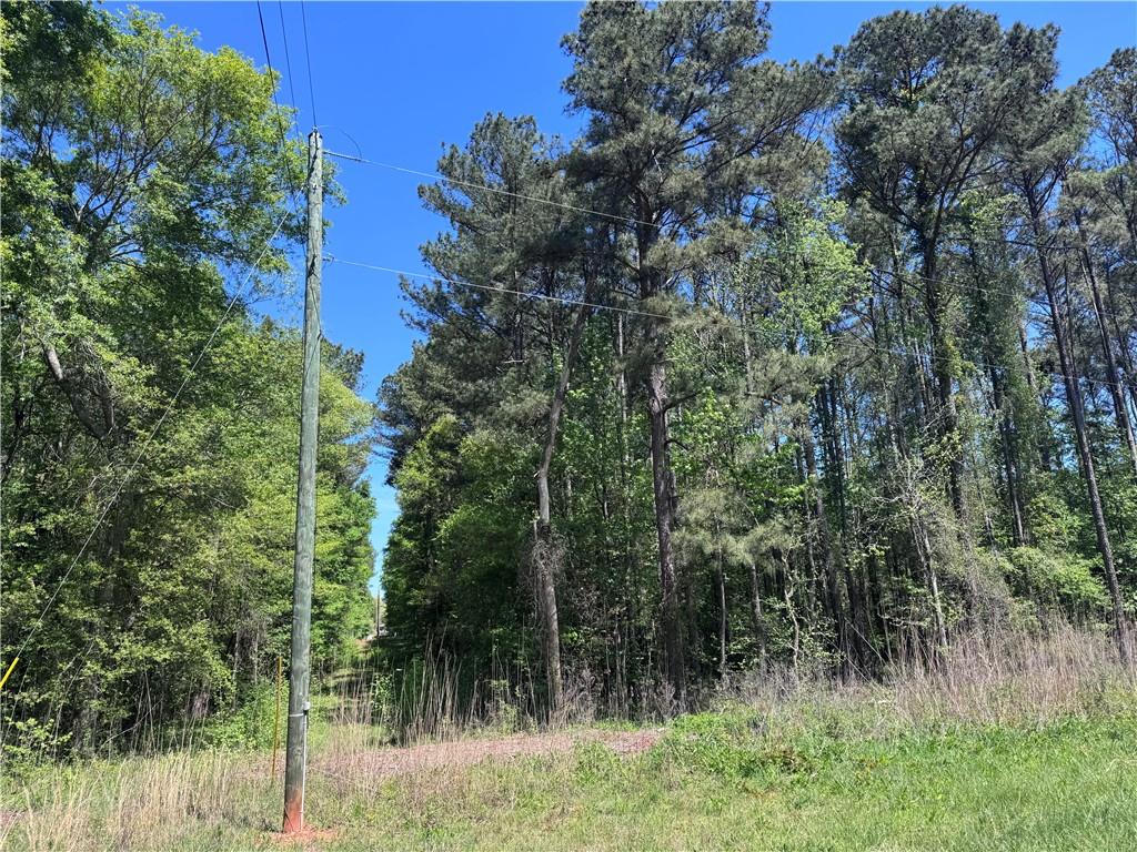 0 Roquemore Road Athens, GA 30607 - Photo 3 of 5