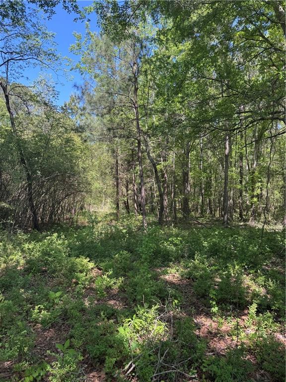 0 Roquemore Road Athens, GA 30607 - Photo 4 of 5