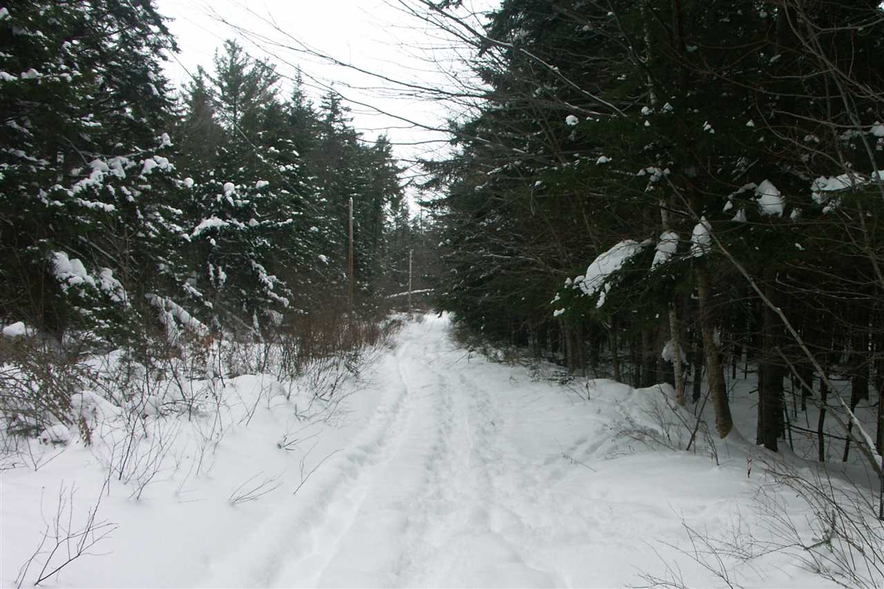 Woods Road South, Unit 14 Warren, VT 05674 - Photo 2 of 9