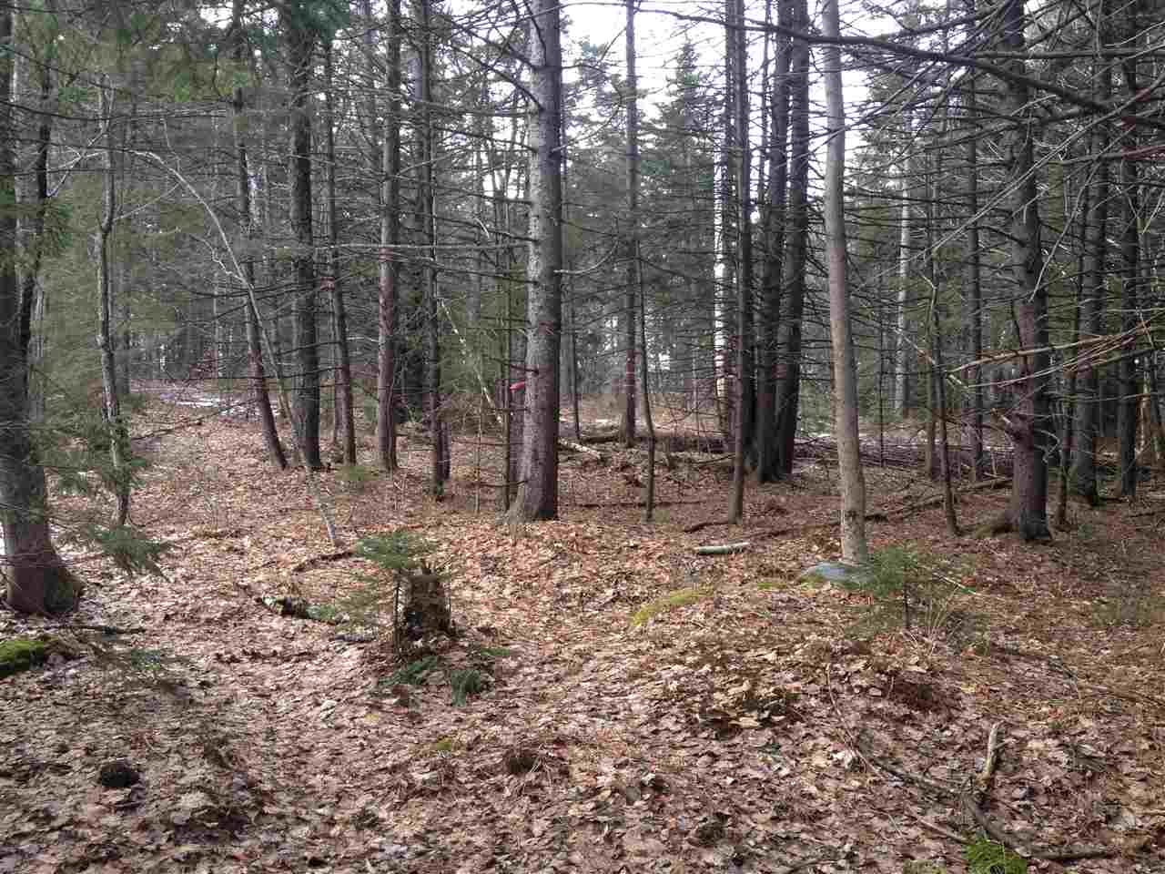 Woods Road South, Unit 14 Warren, VT 05674 - Photo 6 of 9