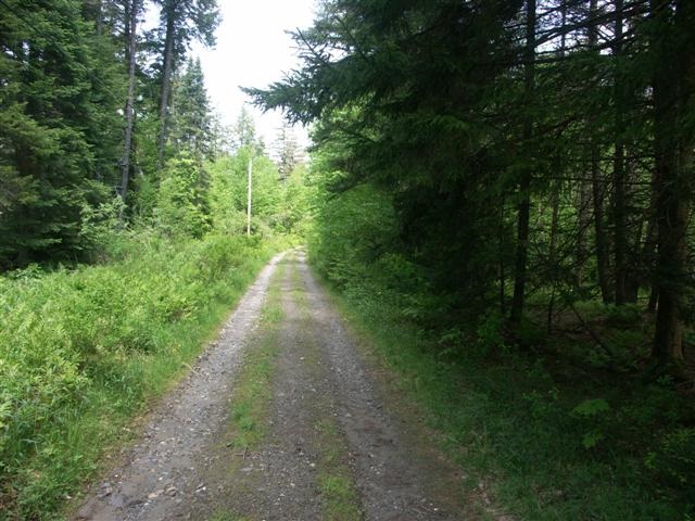 Woods Road South, Unit 14 Warren, VT 05674 - Photo 8 of 9