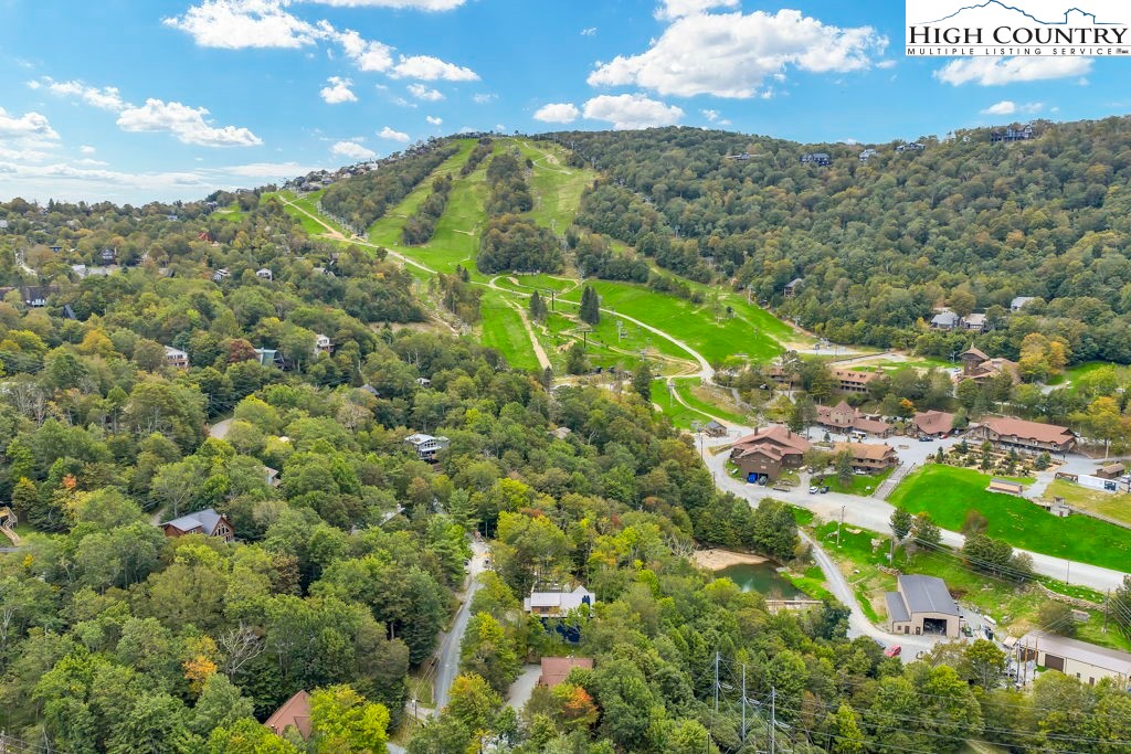102 Skiview Lane, Unit 5 Beech Mountain, NC 28604 - Photo 28 of 31
