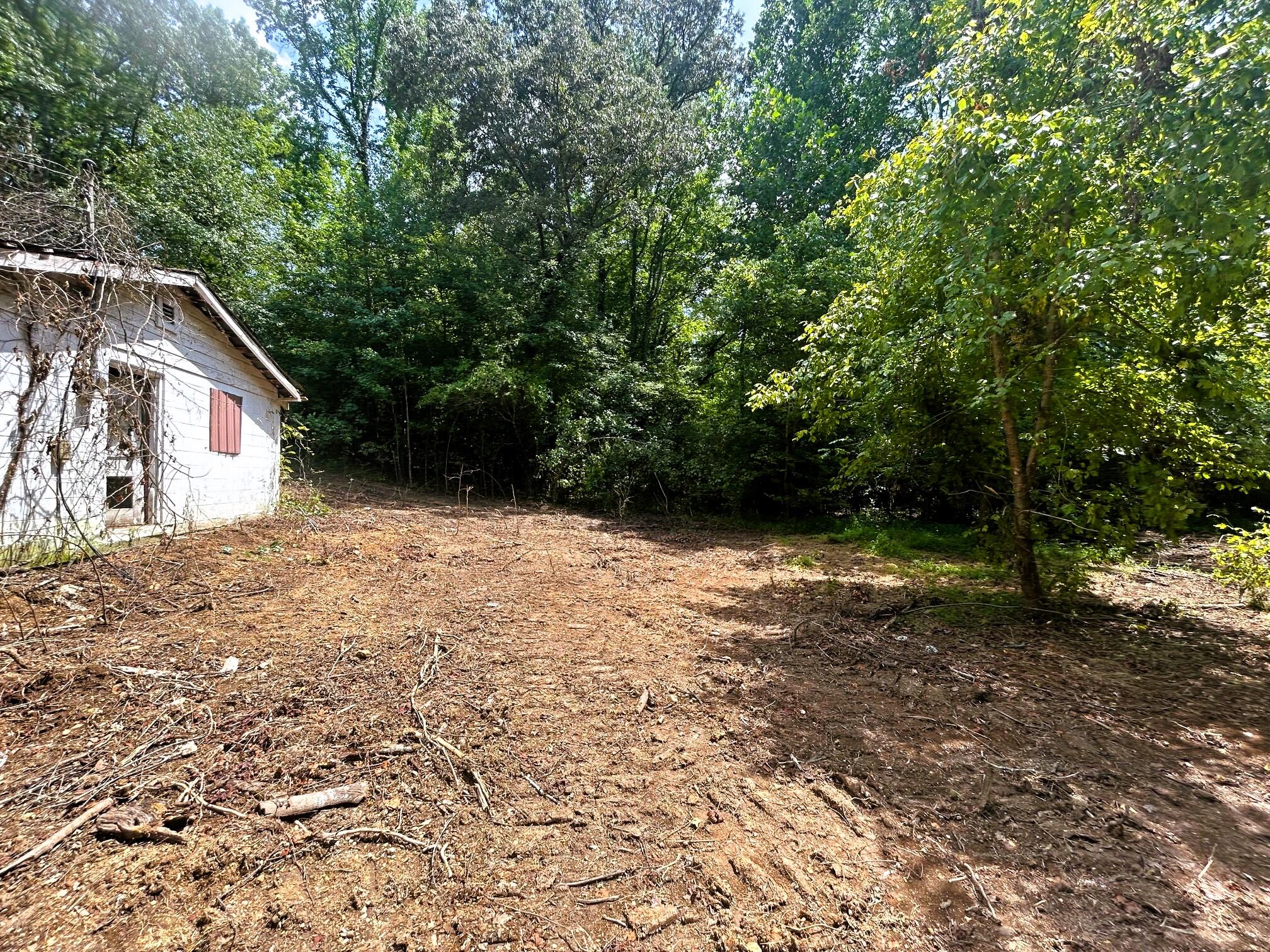 10 Pleasant Hill Road Ten Mile, TN 37880 - Photo 5 of 8 IMG_1437