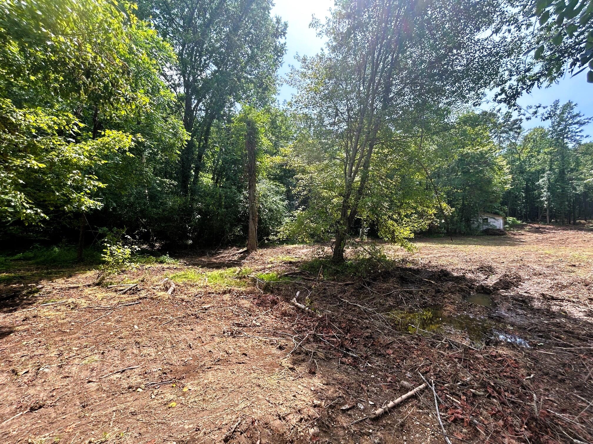 10 Pleasant Hill Road Ten Mile, TN 37880 - Photo 6 of 8 Spring/Branch