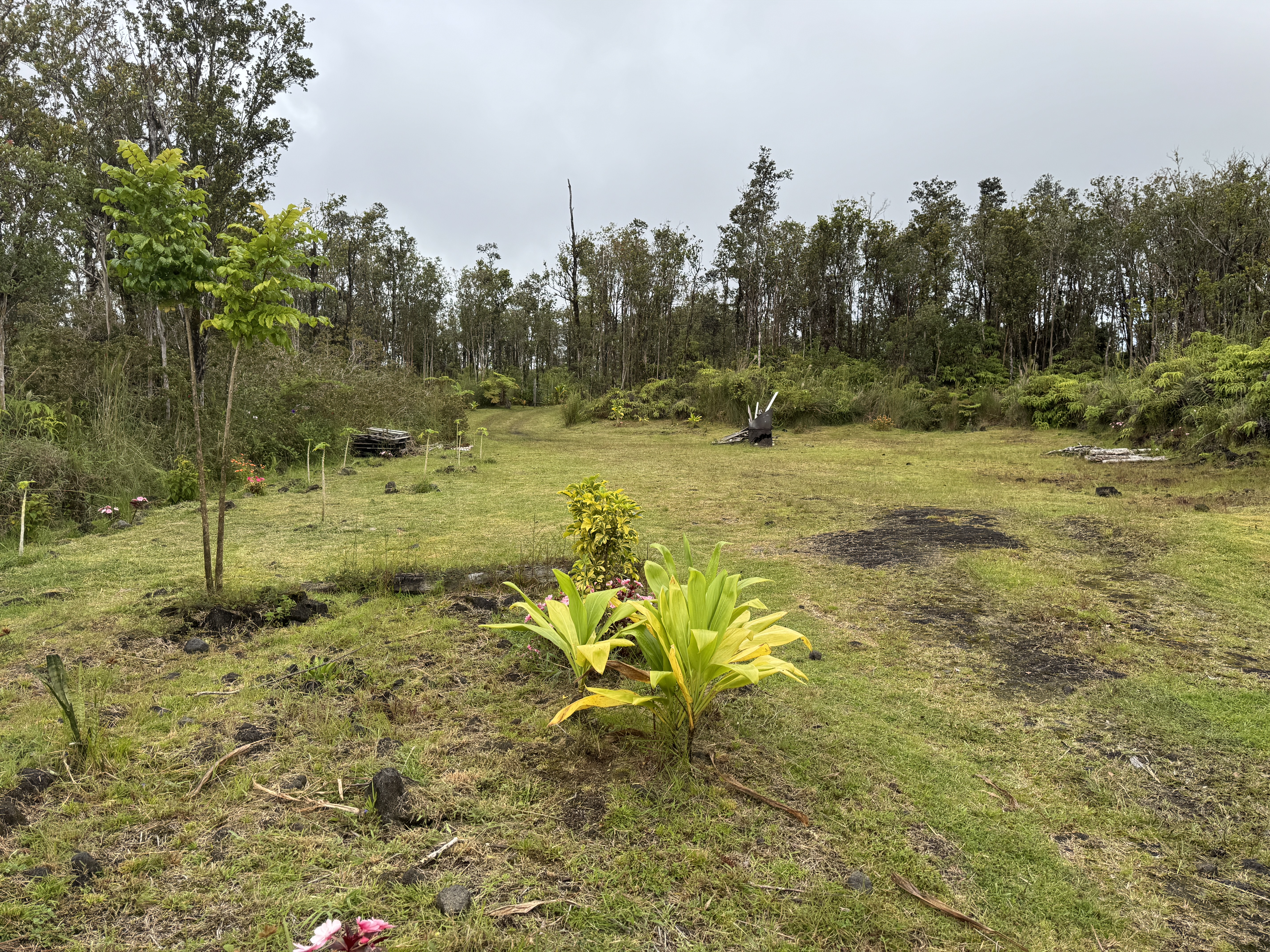 11-2218 Ohialani Road Volcano, HI 96785 - Photo 11 of 24 Gallery Image 11