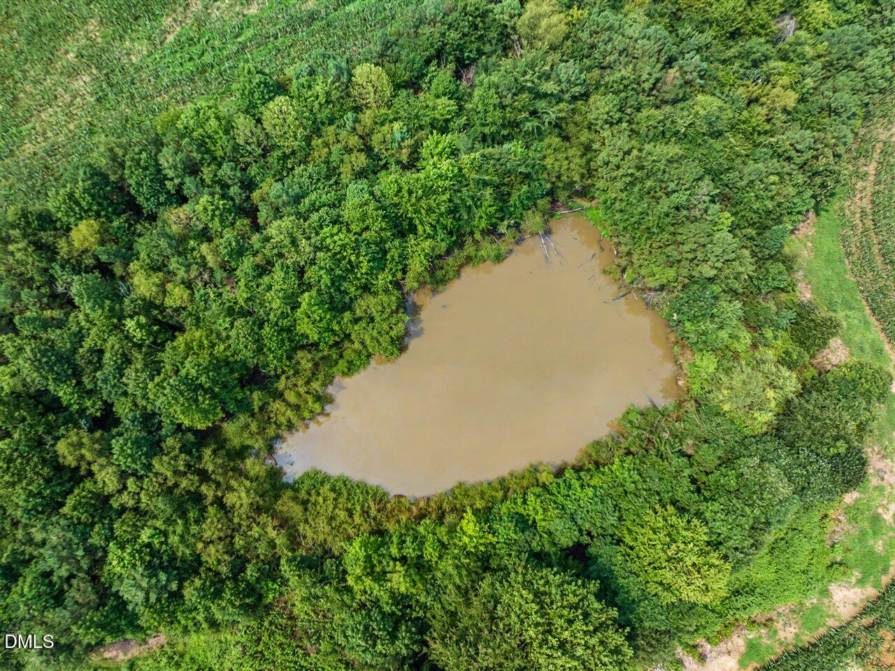 7793 Ridgeville Road Leasburg, NC 27291 - Photo 74 of 89 Pond #2 in Summer