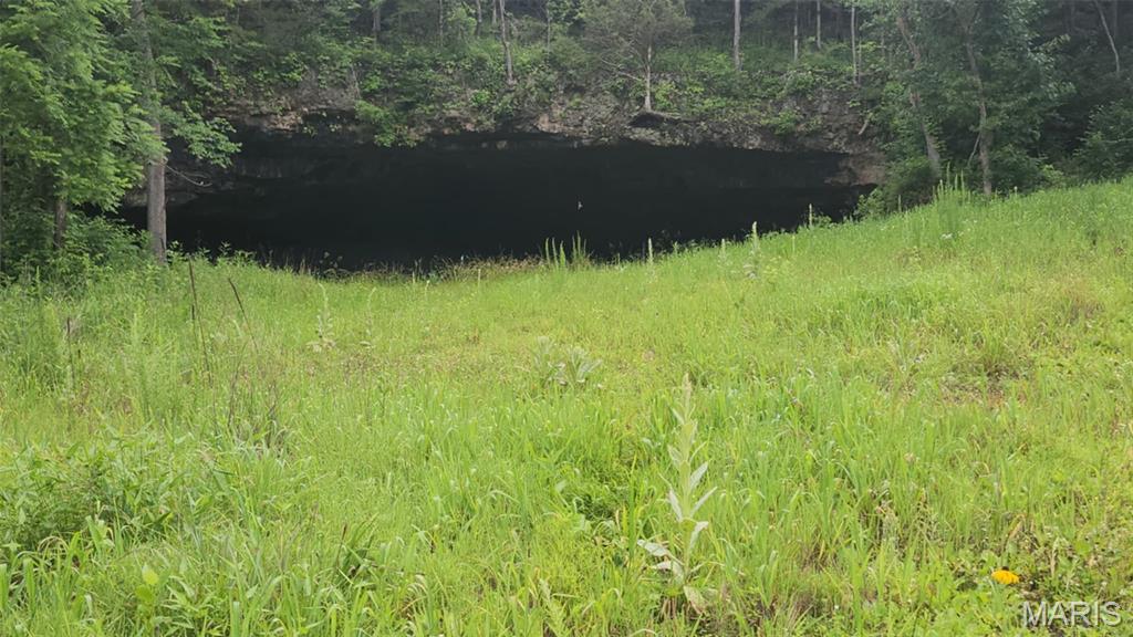 Tbd Pool Holler Cave Road Rolla, MO 65401 - Photo 12 of 19