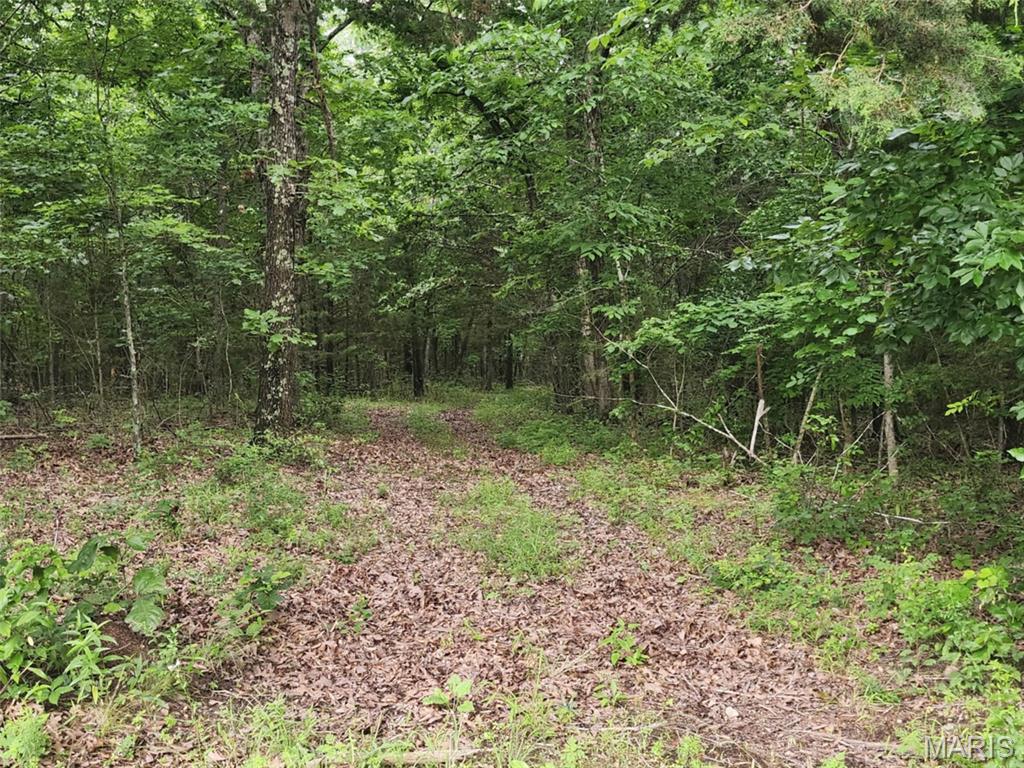 Tbd Pool Holler Cave Road Rolla, MO 65401 - Photo 14 of 19