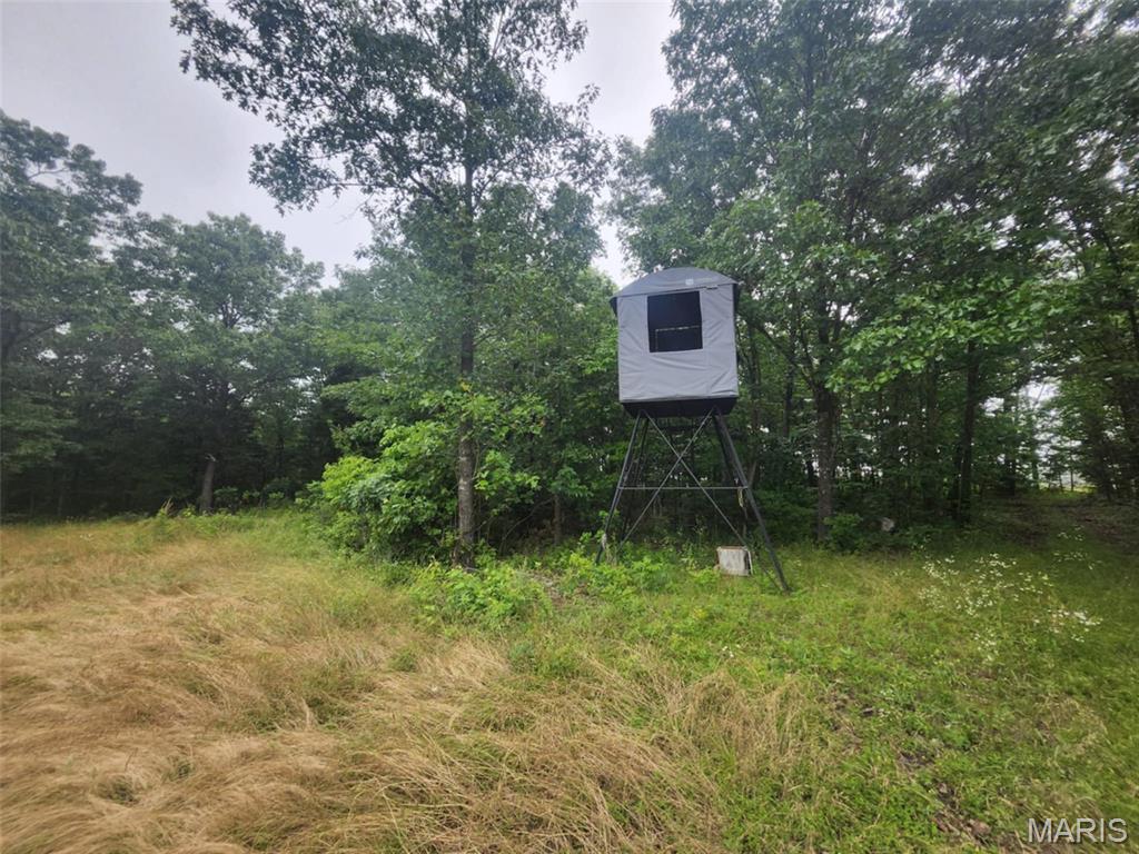 Tbd Pool Holler Cave Road Rolla, MO 65401 - Photo 15 of 19