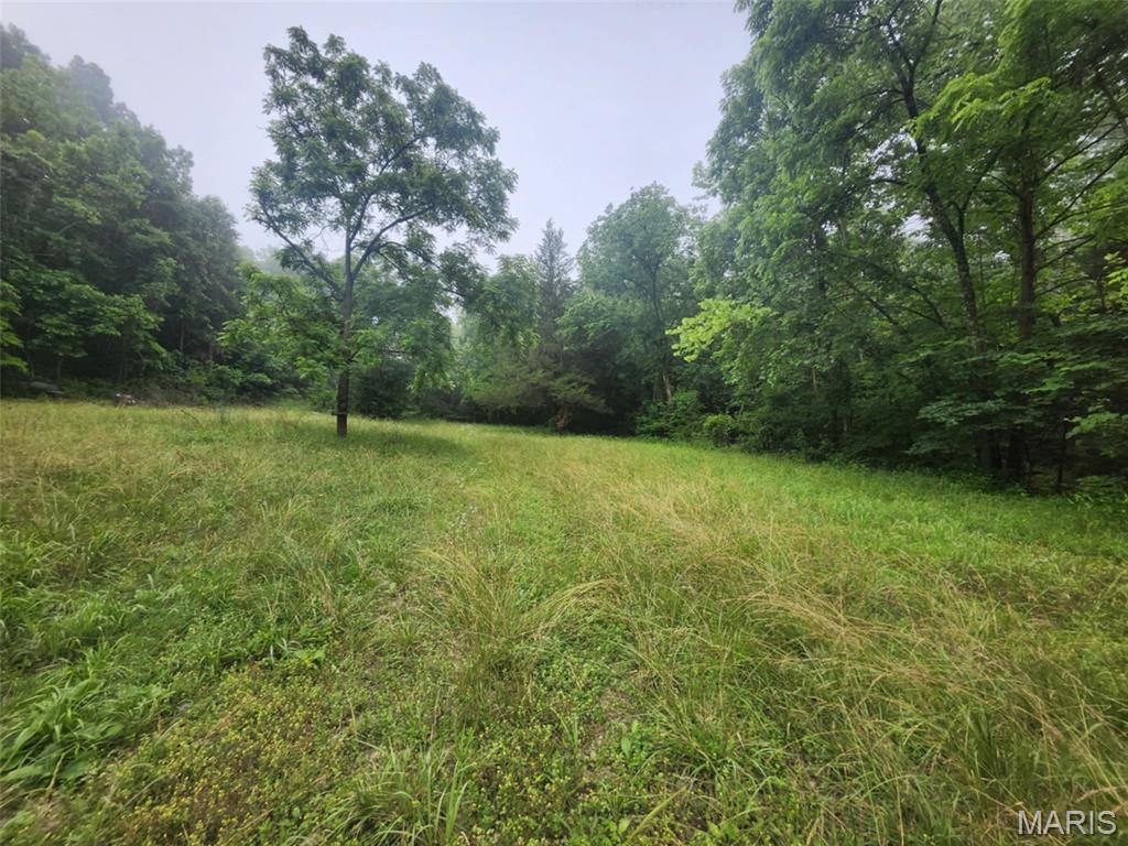 Tbd Pool Holler Cave Road Rolla, MO 65401 - Photo 16 of 19