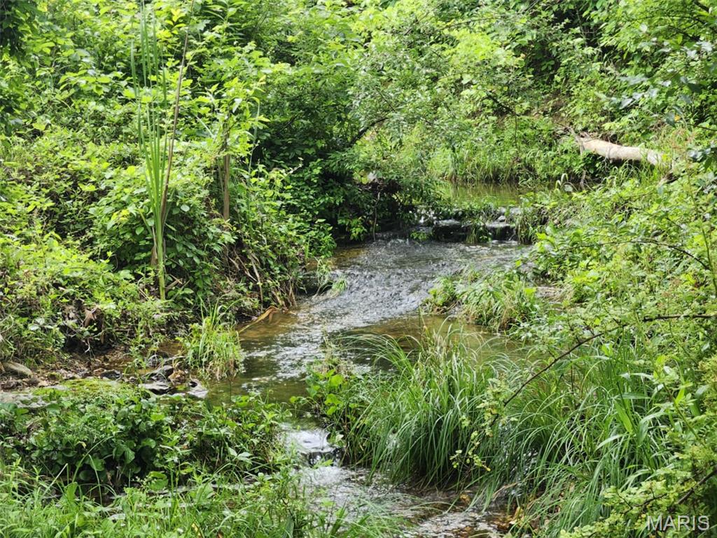 Tbd Pool Holler Cave Road Rolla, MO 65401 - Photo 18 of 19