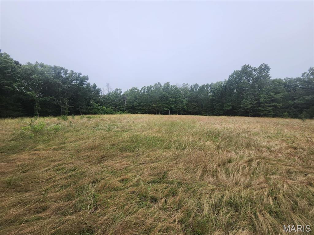 Tbd Pool Holler Cave Road Rolla, MO 65401 - Photo 19 of 19