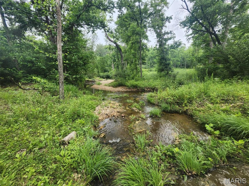 Tbd Pool Holler Cave Road Rolla, MO 65401 - Photo 4 of 19