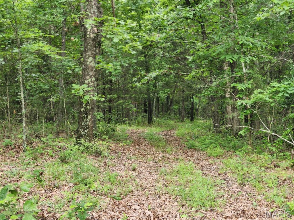 Tbd Pool Holler Cave Road Rolla, MO 65401 - Photo 7 of 19