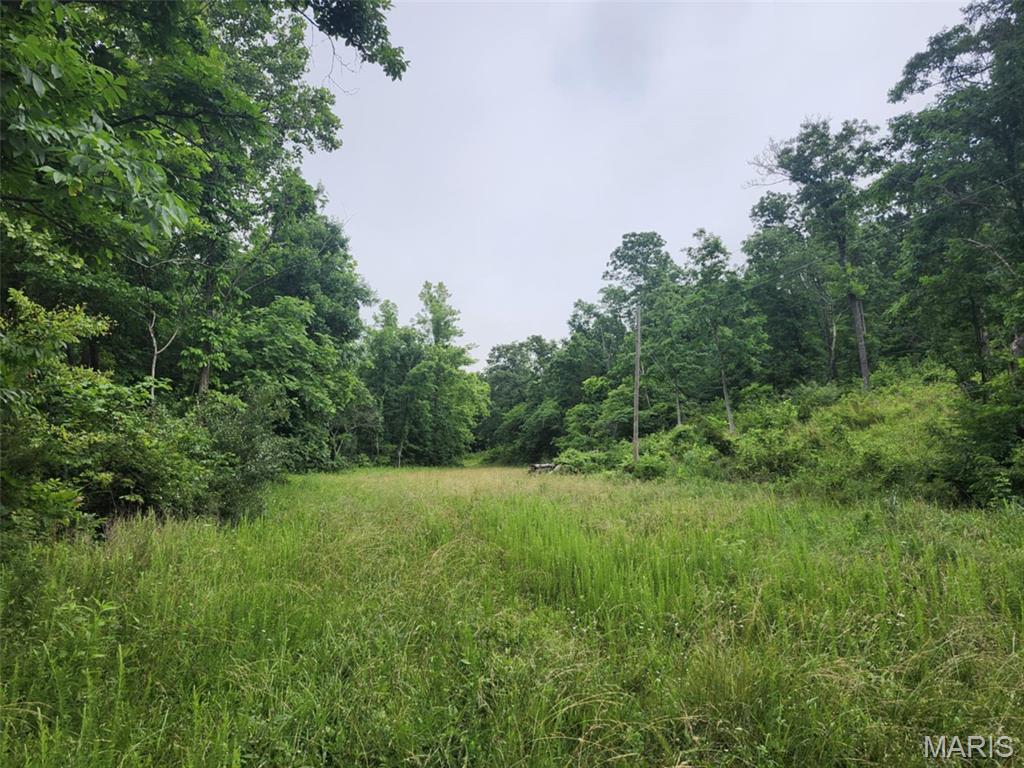 Tbd Pool Holler Cave Road Rolla, MO 65401 - Photo 8 of 19