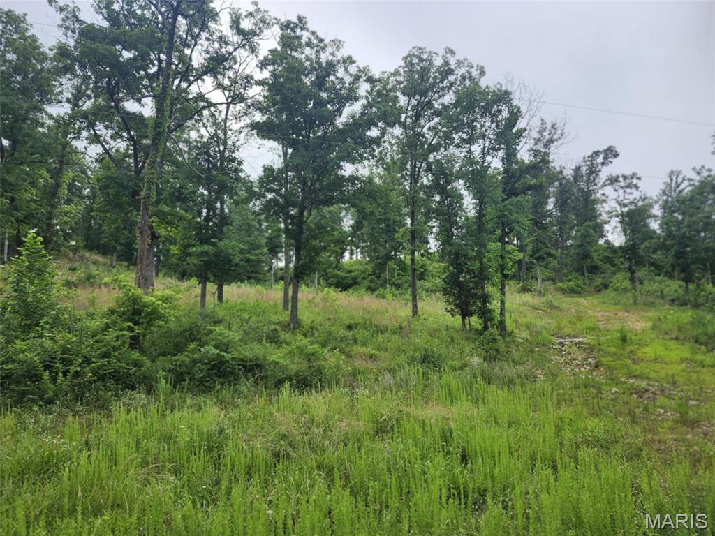 Tbd Pool Holler Cave Road Rolla, MO 65401 - Photo 10 of 19