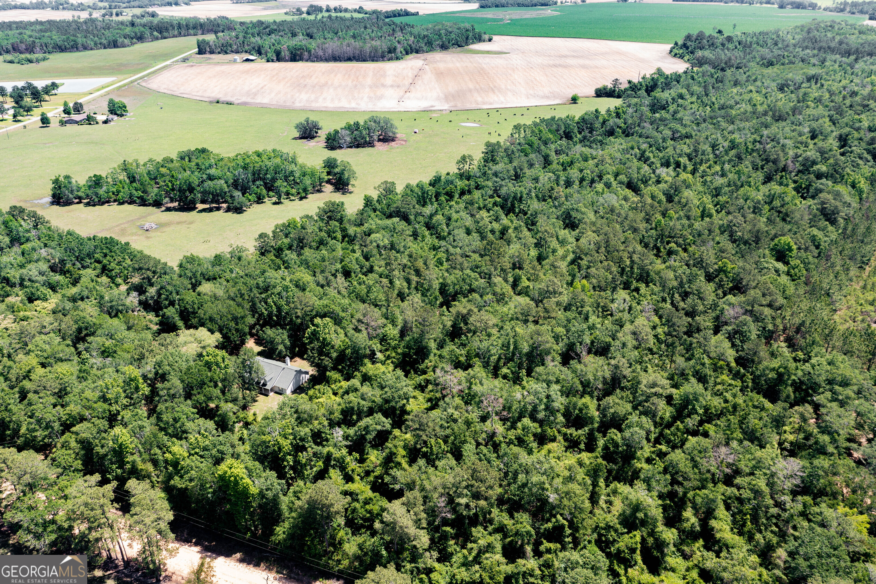 2116 Dot Harvey Road Jakin, GA 39861 - Photo 34 of 36
