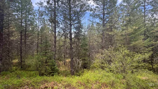 $235,400 | Tbd Tbd Parcel 17-bandmill Heights, Orofino, ID 83544