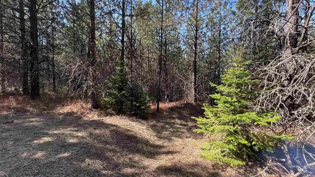 $235,400 | Tbd Tbd Parcel 17-bandmill Heights, Orofino, ID 83544