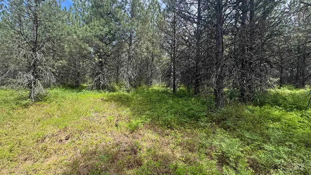 $235,400 | Tbd Tbd Parcel 17-bandmill Heights, Orofino, ID 83544