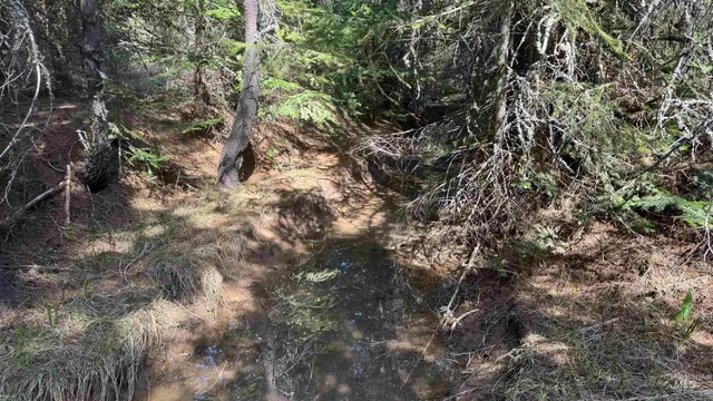 $235,400 | Tbd Tbd Parcel 17-bandmill Heights, Orofino, ID 83544