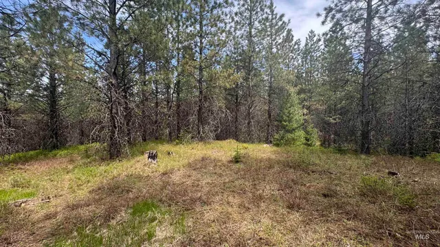 $235,400 | Tbd Tbd Parcel 17-bandmill Heights, Orofino, ID 83544