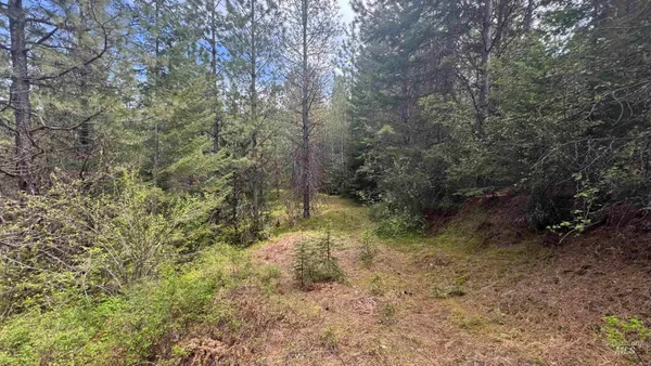 $235,400 | Tbd Tbd Parcel 17-bandmill Heights, Orofino, ID 83544