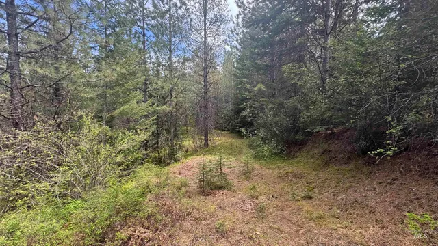 $235,400 | Tbd Tbd Parcel 17-bandmill Heights, Orofino, ID 83544