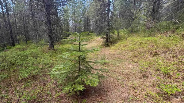 $235,400 | Tbd Tbd Parcel 17-bandmill Heights, Orofino, ID 83544