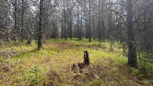 $235,400 | Tbd Tbd Parcel 17-bandmill Heights, Orofino, ID 83544
