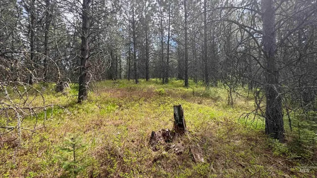 $235,400 | Tbd Tbd Parcel 17-bandmill Heights, Orofino, ID 83544