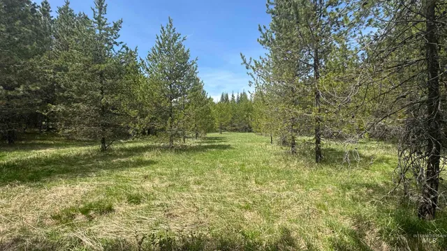 $235,400 | Tbd Tbd Parcel 17-bandmill Heights, Orofino, ID 83544