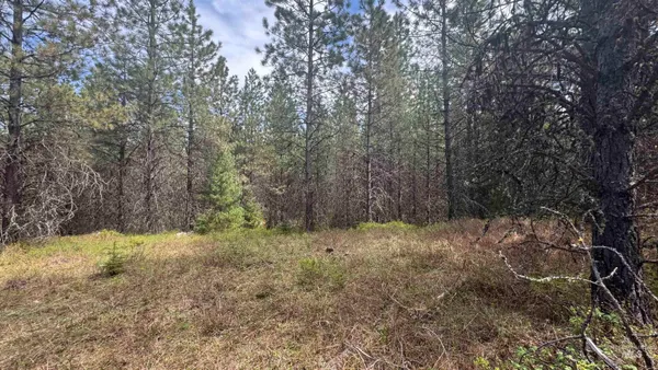 $235,400 | Tbd Tbd Parcel 17-bandmill Heights, Orofino, ID 83544