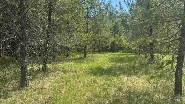 $235,400 | Tbd Tbd Parcel 17-bandmill Heights, Orofino, ID 83544