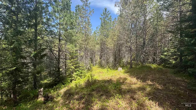 $235,400 | Tbd Tbd Parcel 17-bandmill Heights, Orofino, ID 83544