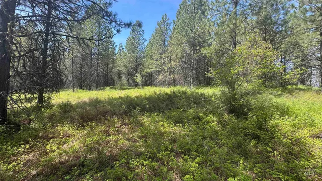 $235,400 | Tbd Tbd Parcel 17-bandmill Heights, Orofino, ID 83544