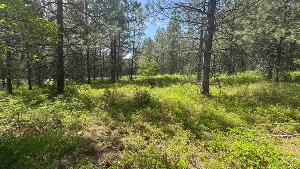 $235,400 | Tbd Tbd Parcel 17-bandmill Heights, Orofino, ID 83544