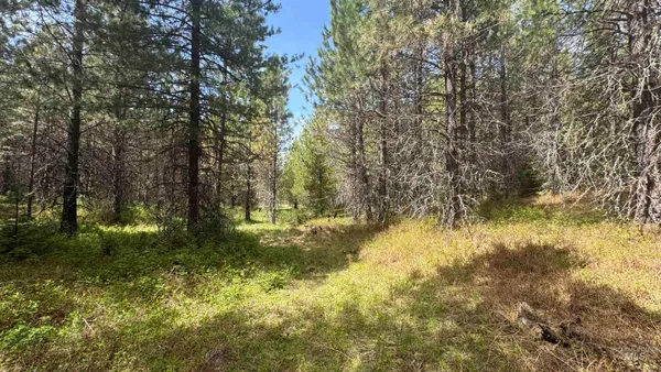 $235,400 | Tbd Tbd Parcel 17-bandmill Heights, Orofino, ID 83544
