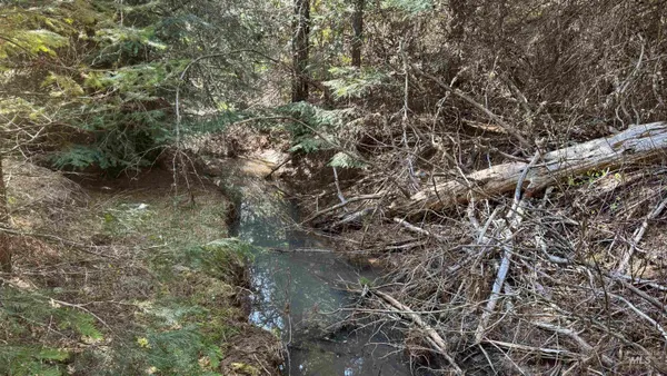 $235,400 | Tbd Tbd Parcel 17-bandmill Heights, Orofino, ID 83544