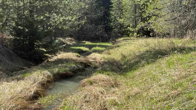 $235,400 | Tbd Tbd Parcel 17-bandmill Heights, Orofino, ID 83544