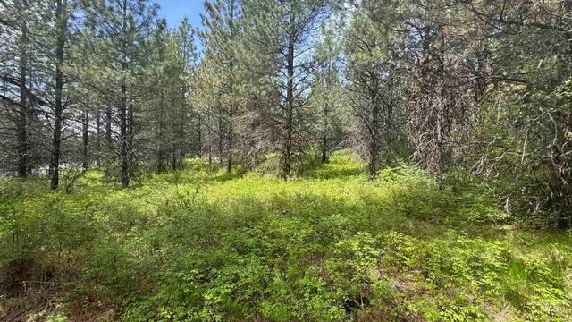 $235,400 | Tbd Tbd Parcel 17-bandmill Heights, Orofino, ID 83544