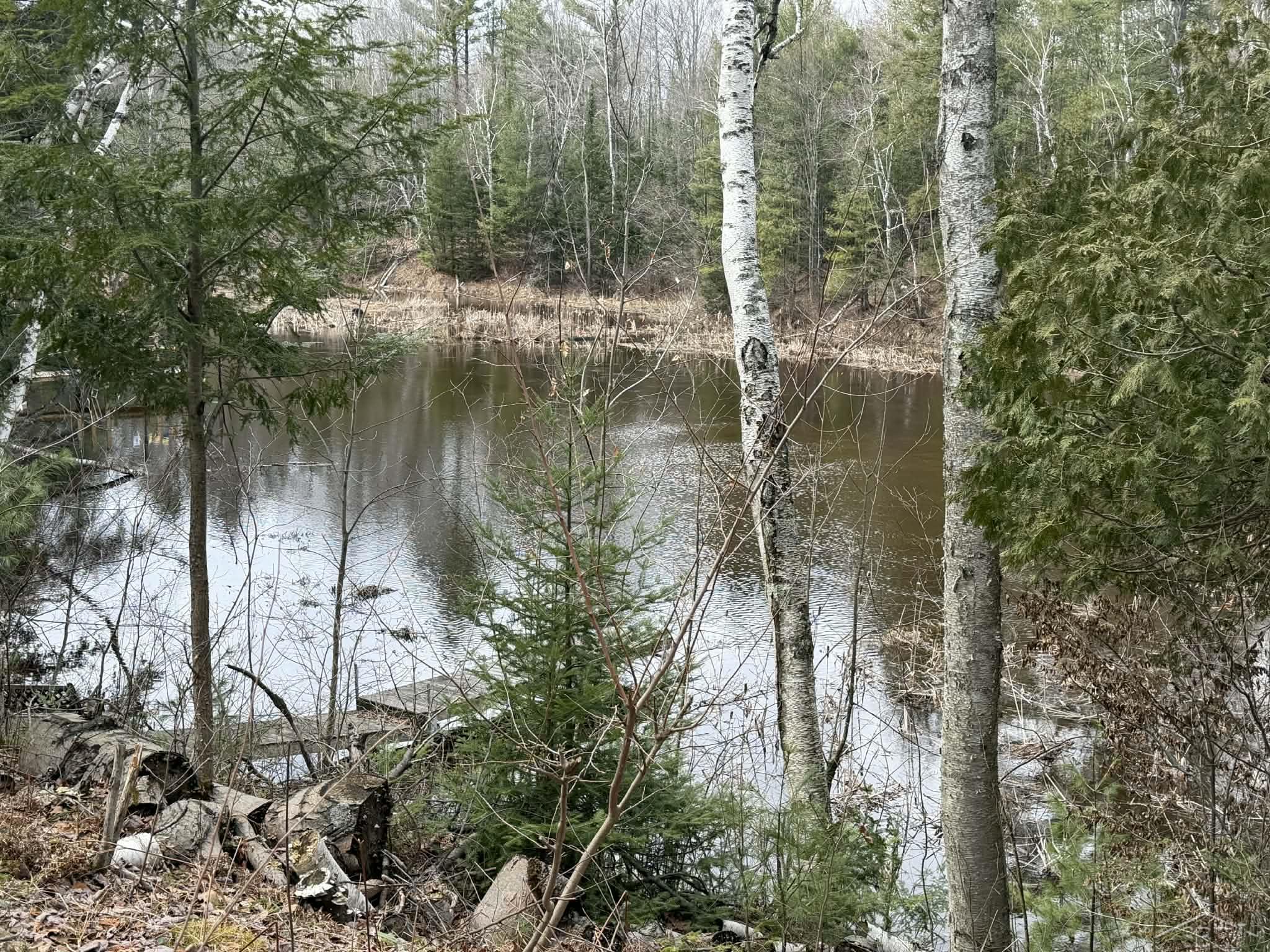 2823 River Ridge Road Alger, MI 48610 - Photo 10 of 30
