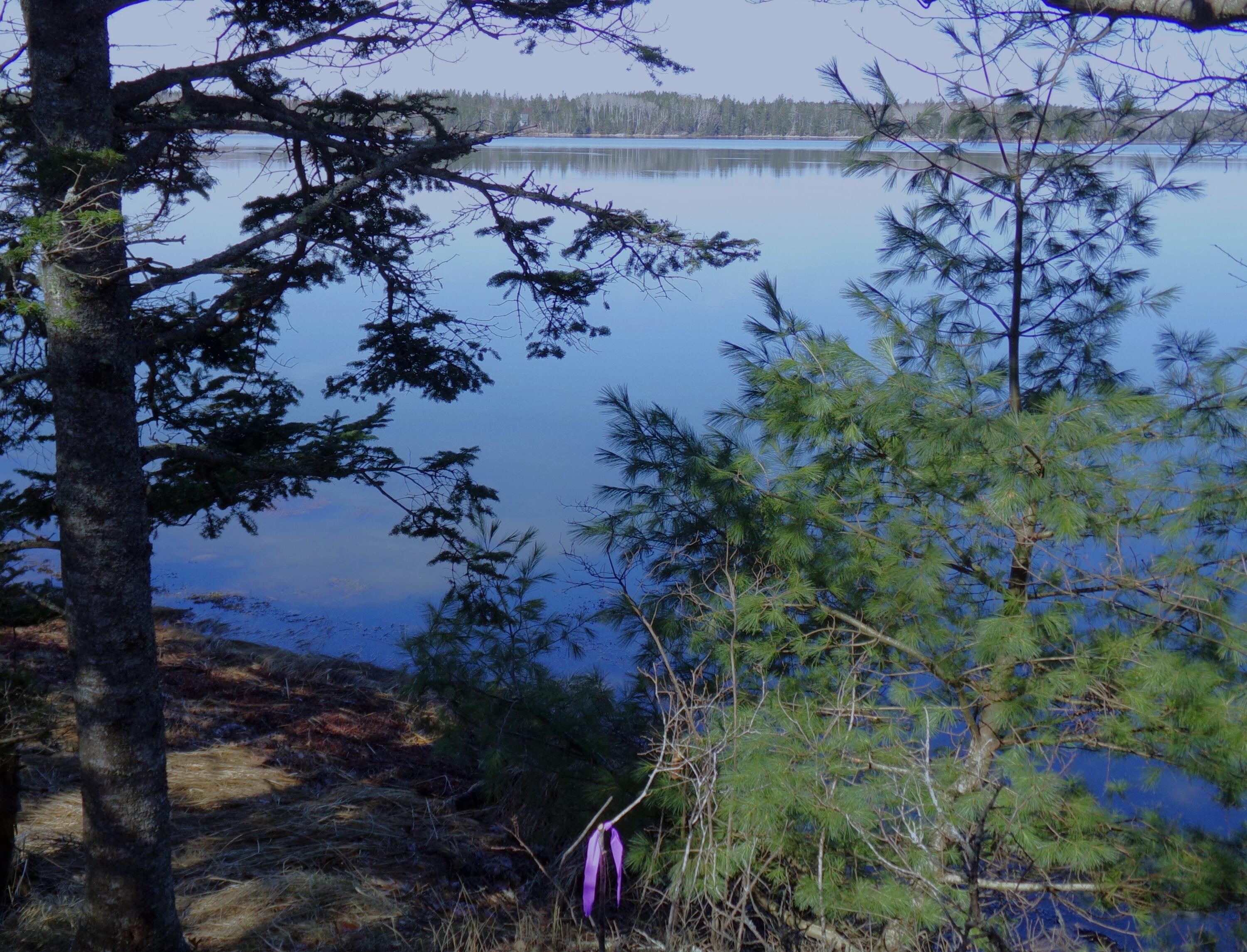 Lot 3 Rogers Point Road Steuben, ME 04680 - Photo 12 of 12