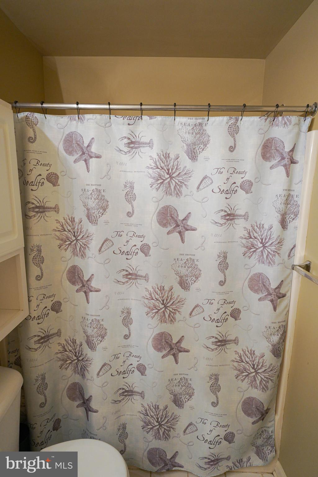 37182 Harbor Drive, Unit 264 Ocean View, DE 19970 - Photo 41 of 55 a bathroom with a shower curtain