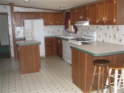 5211 East Buchanan Road Hesperia, MI 49421 - Photo 3 of 18 Additional Photo