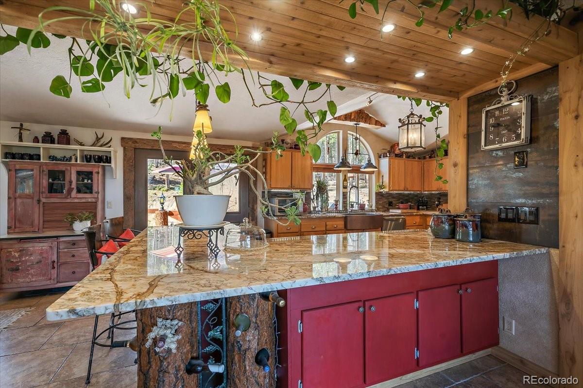 9001 South Warhawk Road Conifer, CO 80433 - Photo 8 of 40