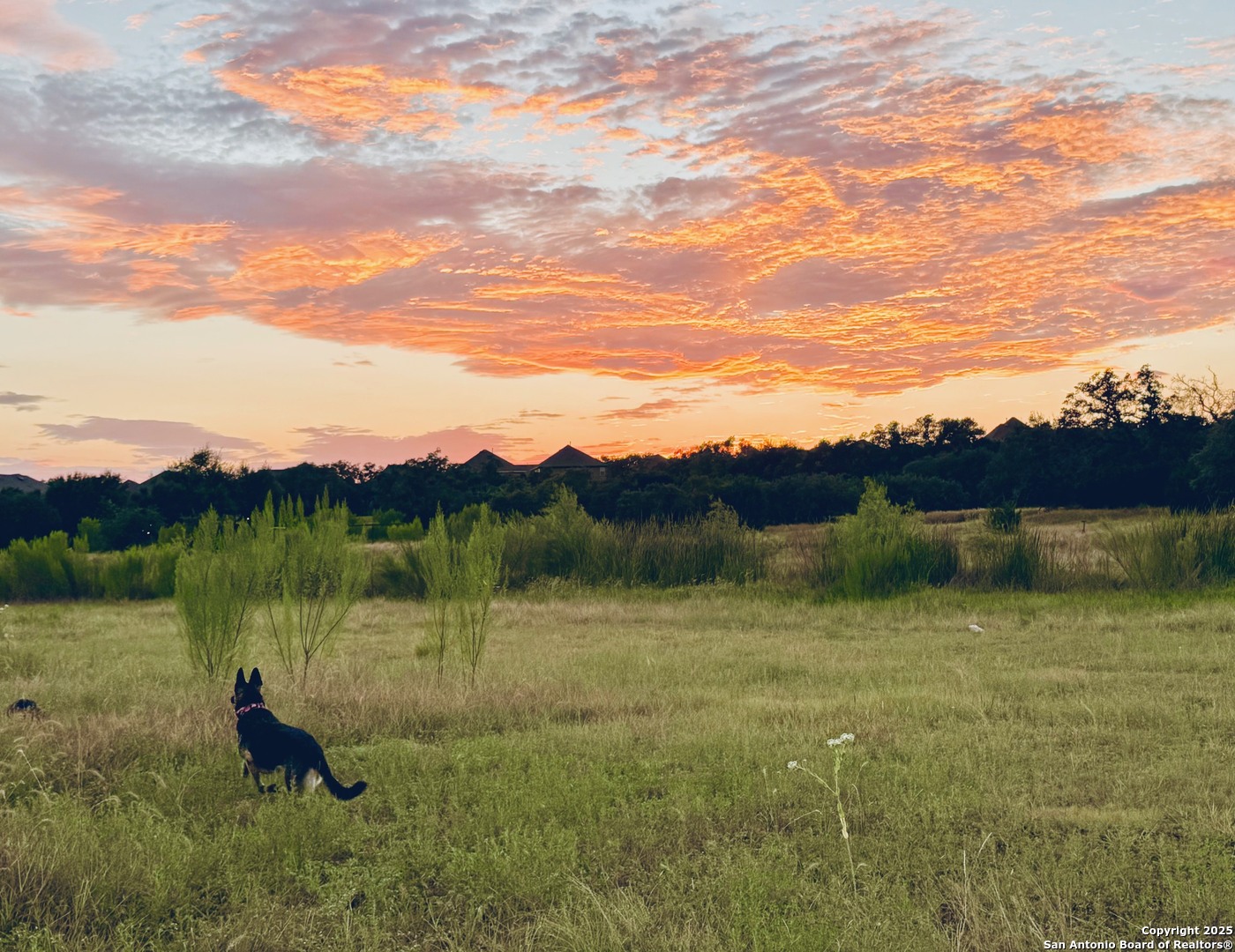 1400 Knoll Schwope Road Spring Branch, TX 78070 - Photo 1 of 6