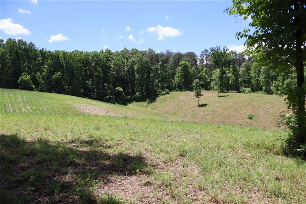 0 Parksbrook Road Ellijay, GA 30540 - Photo 11 of 67